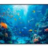 Underwater Scene Showcasing a Diverse Coral Reef Home Decor Premium Quality Poster Print Choose Your Sizes - Image 3