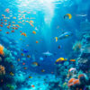 Underwater Scene Showcasing a Diverse Coral Reef Home Decor Premium Quality Poster Print Choose Your Sizes - Image 4