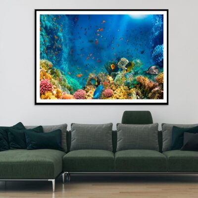 Underwater World Coral Fishes Of Red Sea Home Decor Premium Quality Poster Print Choose Your Sizes