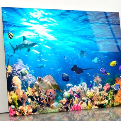 Underwater Scene with Coral Reef and Exotic Fishes Acrylic Glass Print Tempered Glass Wall Art 100% Made in Australia Ready to Hang