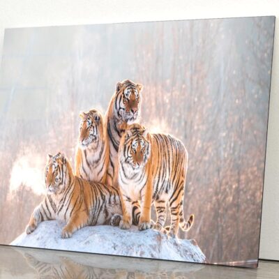 Siberian Tiger & Winter Acrylic Glass Print Tempered Glass Wall Art 100% Made in Australia Ready to Hang