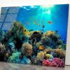 Beautiful Coral Reef and Mach Fish Acrylic Glass Print Tempered Glass Wall Art 100% Made in Australia Ready to Hang