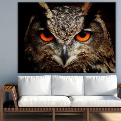 Owl Face Portrait Photograph Print 100% Australian Made