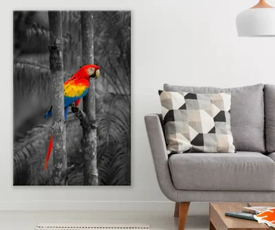 Colorful Parrot in B&W Forest Print 100% Australian Made