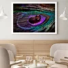 Waterdrops on Peacock Feathers Photograph Home Decor Premium Quality Poster Print Choose Your Sizes