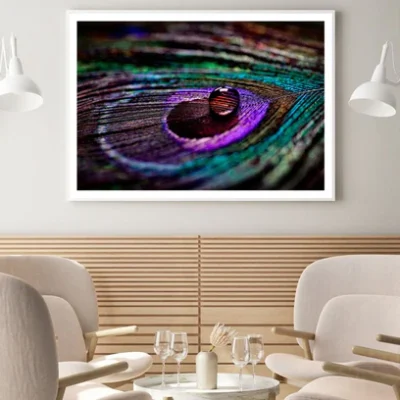 Waterdrops on Peacock Feathers Photograph Home Decor Premium Quality Poster Print Choose Your Sizes