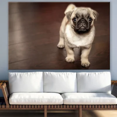 Pug Puppy Dog Portrait Photograph Print 100% Australian Made