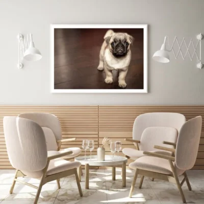 Pug Puppy Dog Portrait Photograph Home Decor Premium Quality Poster Print Choose Your Sizes