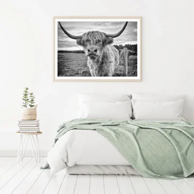 Highland Cow Portrait Photograph Home Decor Premium Quality Poster Print Choose Your Sizes