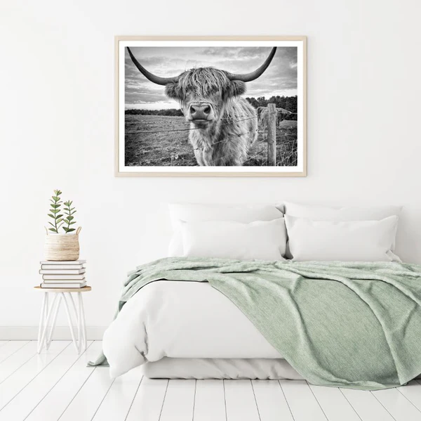 Highland Cow Portrait Photograph Home Decor Premium Quality Poster Print Choose Your Sizes