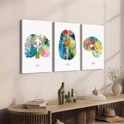 3pcs Neurology & Psychology Canvas Framed 40x60cm – High Quality Print 100% Australian Made Wall Canvas Ready to Hang