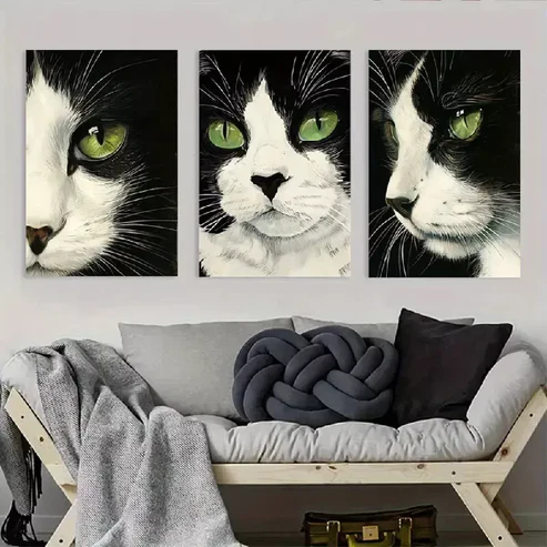 3pcsBlack and White Cat Artwork Canvas Framed 40x60cm – High Quality Print 100% Australian Made Wall Canvas Ready to Hang