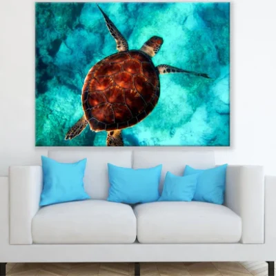 Turtle in Sea Aerial Photograph Print 100% Australian Made