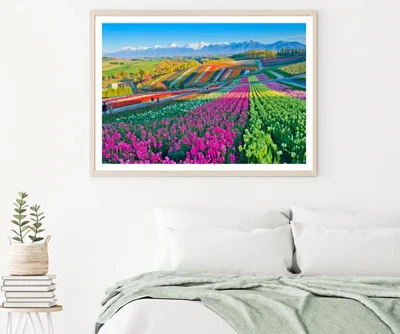 Colorful Tulips Field Photograph Home Decor Premium Quality Poster Print Choose Your Sizes