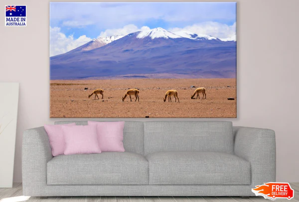 Deers Near Mountain Photograph View Print 100% Australian Made