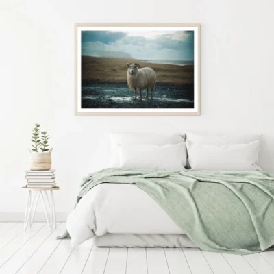 Sheep Staring Photograph Home Decor Premium Quality Poster Print Choose Your Sizes