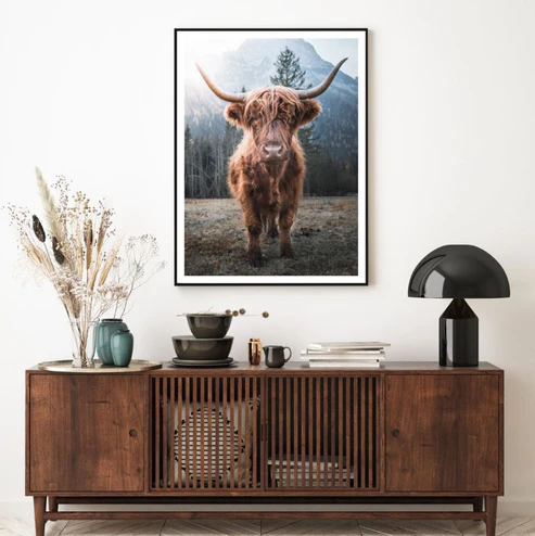 Highland Cow Closeup Photograph Home Decor Premium Quality Poster Print Choose Your Sizes