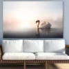 Swan on a Lake Photograph Print 100% Australian Made
