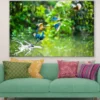 Kingfisher Birds Photograph Print 100% Australian Made