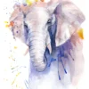 Elephant Portrait Watercolor Art Home Decor Premium Quality Poster Print Choose Your Sizes - Image 2