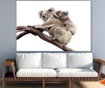 Koala & Baby on Tree Photograph Print 100% Australian Made