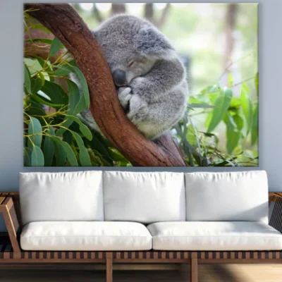 Koala Bear on a Tree Photograph Print 100% Australian Made