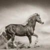 Horse Running Vintage Photograph Home Decor Premium Quality Poster Print Choose Your Sizes - Image 2