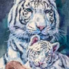White Tiger Mom and Baby Watercolour Painting Print 100% Australian Made - Image 2