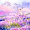 Deer in Flower Field Painting Print 100% Australian Made - Image 2
