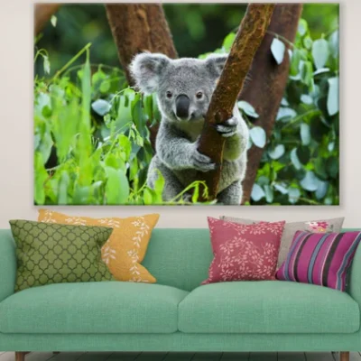 Koala Bear on Tree Photograph Print 100% Australian Made
