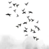 Bird Flying B&W Watercolor Painting Home Decor Premium Quality Poster Print Choose Your Sizes - Image 2