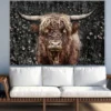 Highland Cow Closeup Photograph Print 100% Australian Made
