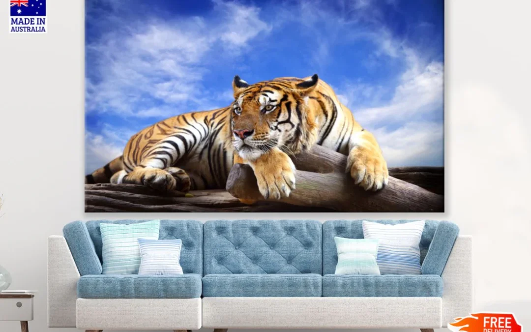 Tiger Sitting on Trunk Photograph Print 100% Australian Made