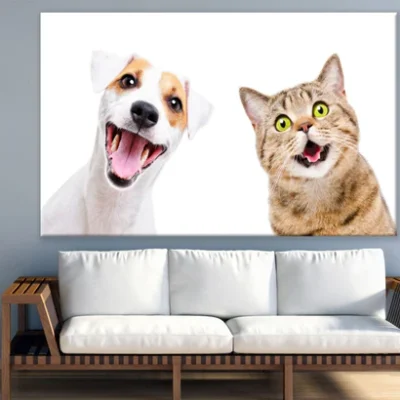 Dog & Cat Portrait Photograph Print 100% Australian Made