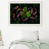 Koi Fish in Pond Digital Art Home Decor Premium Quality Poster Print Choose Your Sizes