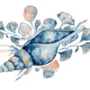 Sea Shell Watercolor Painting Home Decor Premium Quality Poster Print Choose Your Sizes - Image 2