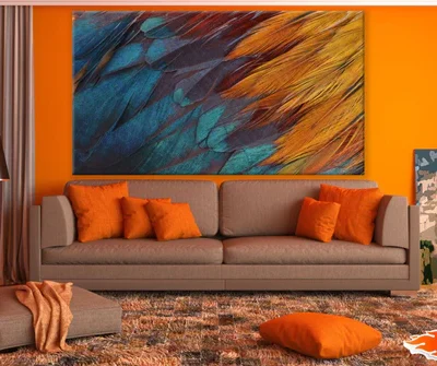 Colorful Feathers Closeup Photograph Print 100% Australian Made
