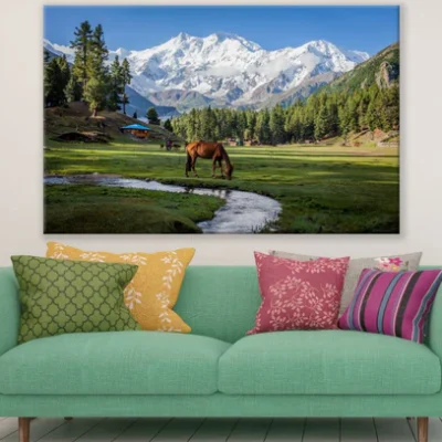 Horse on Meadow Photograph Print 100% Australian Made