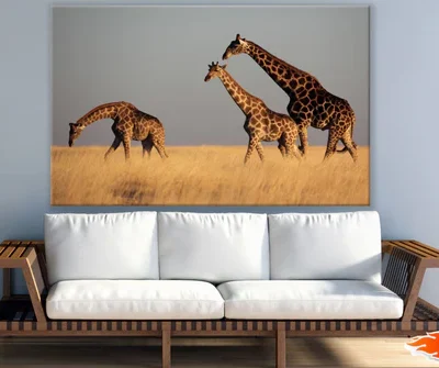 Giraffes in Grass Field Scenery Print 100% Australian Made