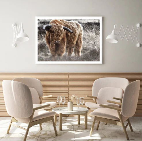 Highland Cow Closeup Photograph Home Decor Premium Quality Poster Print Choose Your Sizes