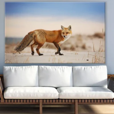 Fox Walking Photograph Print 100% Australian Made