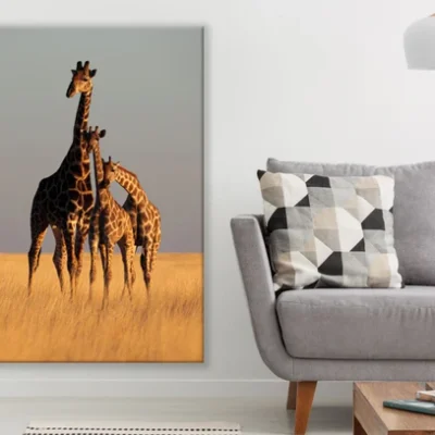 Giraffes in Field Photograph Print 100% Australian Made