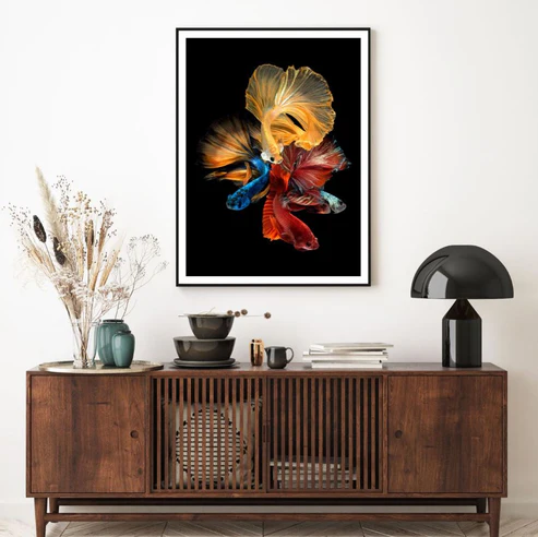 Colorful Fighter Fish Photograph Home Decor Premium Quality Poster Print Choose Your Sizes