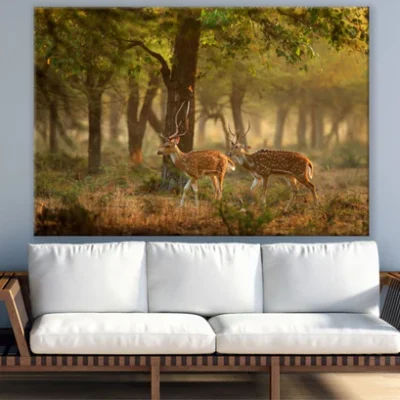 Deers in Forest Photograph Print 100% Australian Made