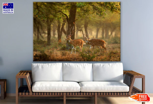 Deers in Forest Photograph Print 100% Australian Made
