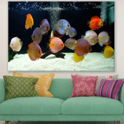 Colorful Fish in Tank Photograph Print 100% Australian Made