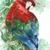Parrot Watercolor Painting Home Decor Premium Quality Poster Print Choose Your Sizes - Image 2