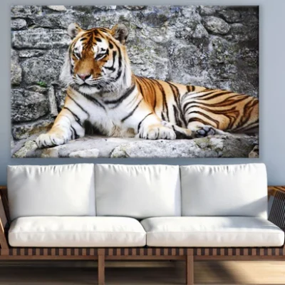 Tiger Sitting on Rock Photograph Print 100% Australian Made