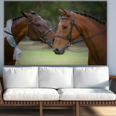 Horses Portrait Photograph View Print 100% Australian Made
