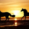 Horses Running on Beach Sunset Home Decor Premium Quality Poster Print Choose Your SizesHorses Running on Beach Sunset Home Decor Premium Quality Poster Print Choose Your Sizes - Image 2